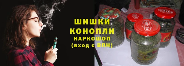 прущие грибы Сосновка