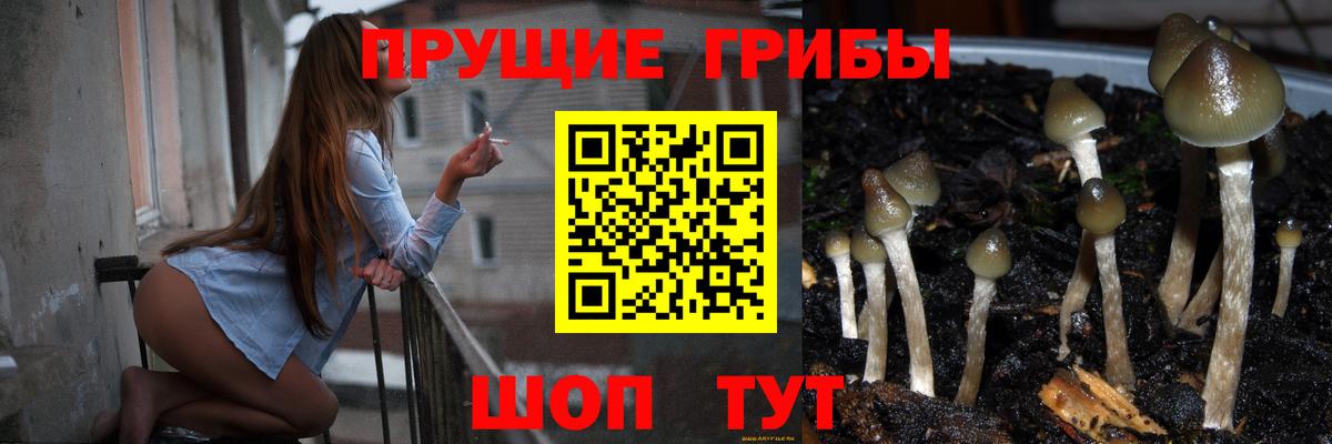 Псилоцибиновые грибы ЛСД Бирск