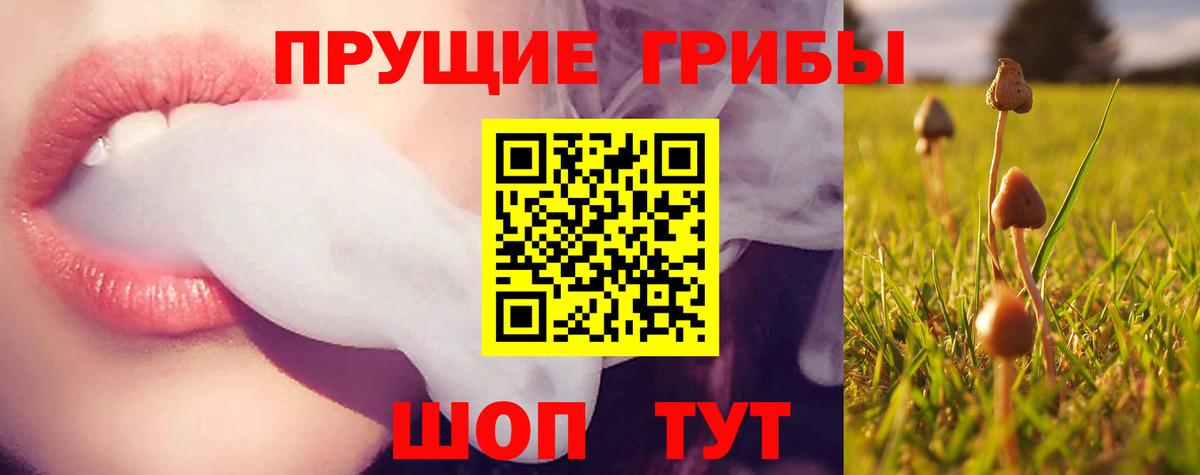 Псилоцибиновые грибы Psilocybe  Псилоцибиновые грибы Psilocybe  наркошоп  Вход с VPN  Бирск 